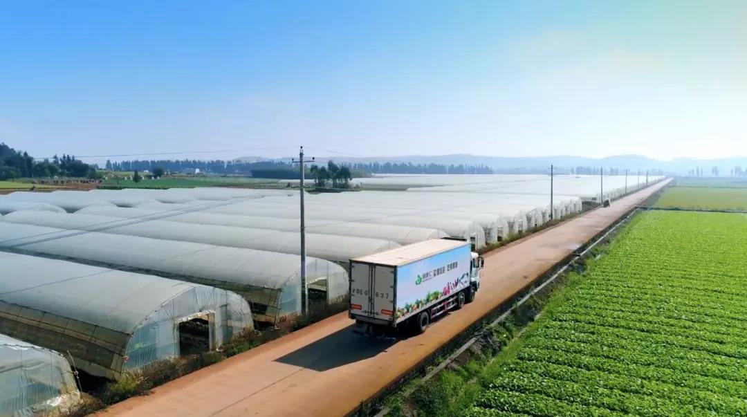 1541467419899659Bs2h.jpg 1.jpg