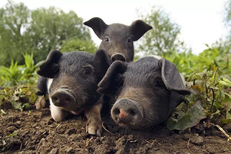 1575538680142769gCSg.jpg 4.jpg