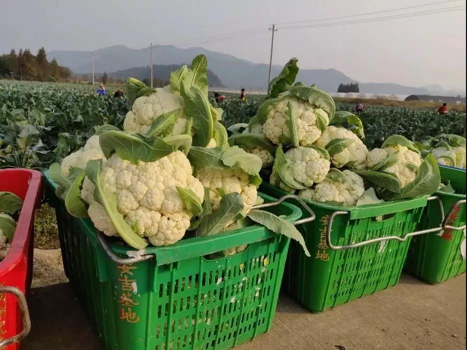 15755386994972379N4M.jpg 6.jpg