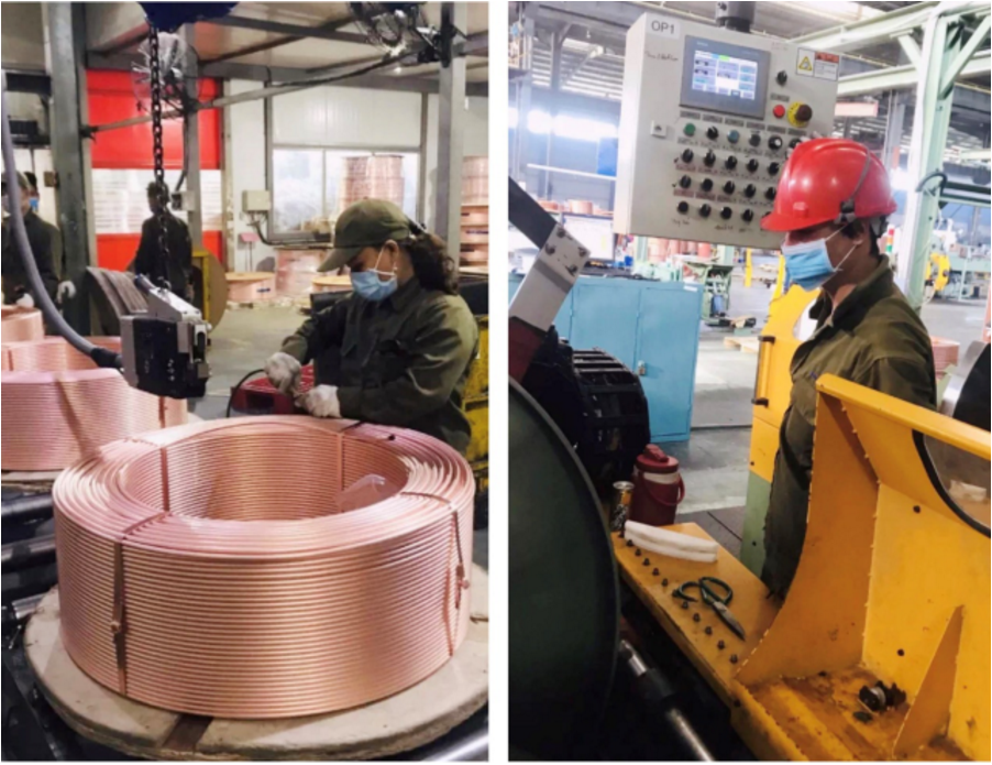 1582514209825945OH7c.png 2.png