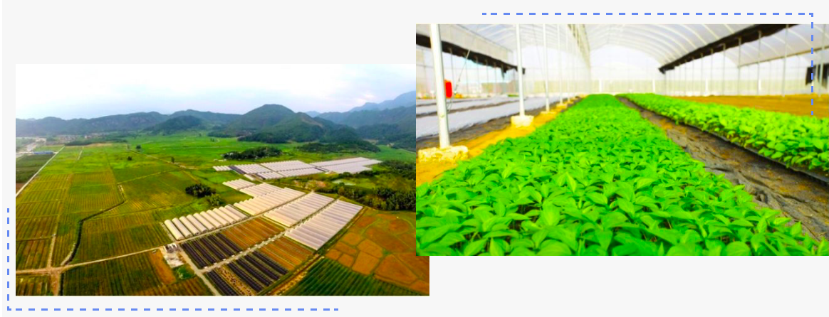 1584584741823551hUN3.png image.png